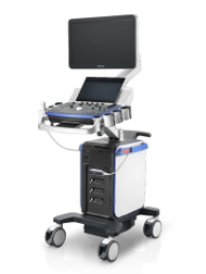 vetus7