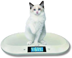 Kleintierwaage 20 kg – extra flach