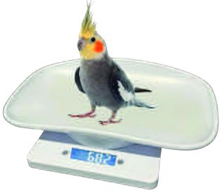 Kleintierwaage 5 kg – Messbereich 1 bis 5.000 g